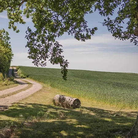 Sonnerupgaard & Konference Kirke-Hvalsø